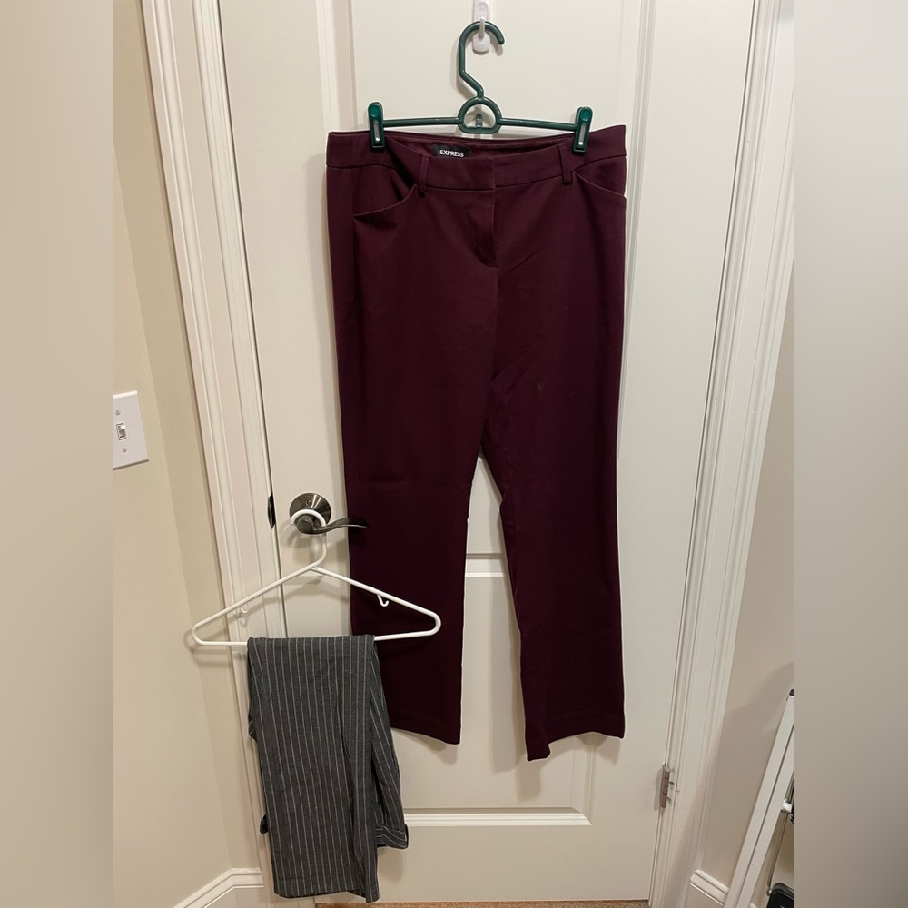 Express Editor Pants